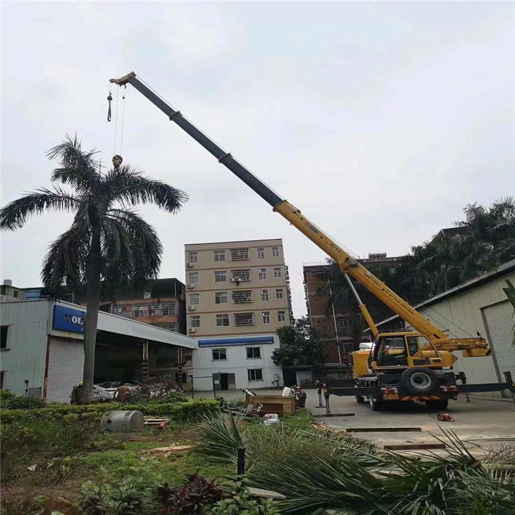 大化吊车吊大树几种方法